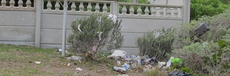 Gansbaai Beware of Baboons_1